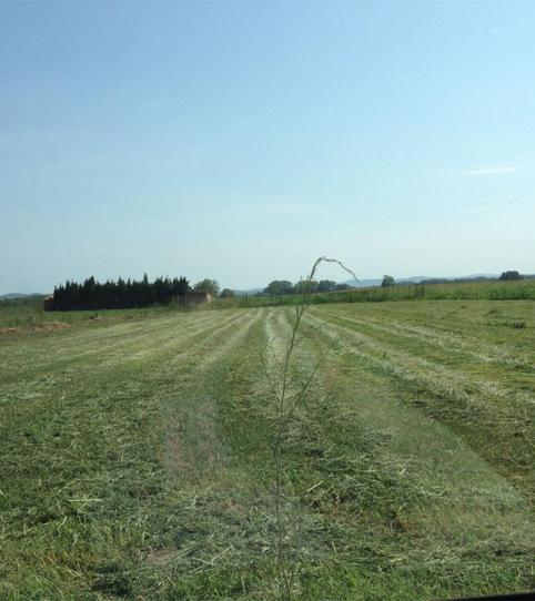 No Urbanitzable en venda a Carrer de la Cerdanya, 16, L'Estartit Poble, Girona - imatge 2 Foto 2 de No Urbanitzable en venda a Carrer de la Cerdanya, 16, L'Estartit Poble, Girona