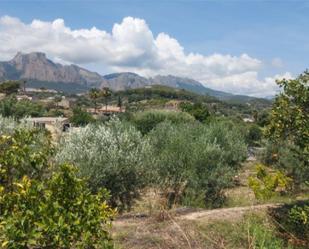 Vista exterior de Finca rústica en venda en La Nucia amb Terrassa i Piscina