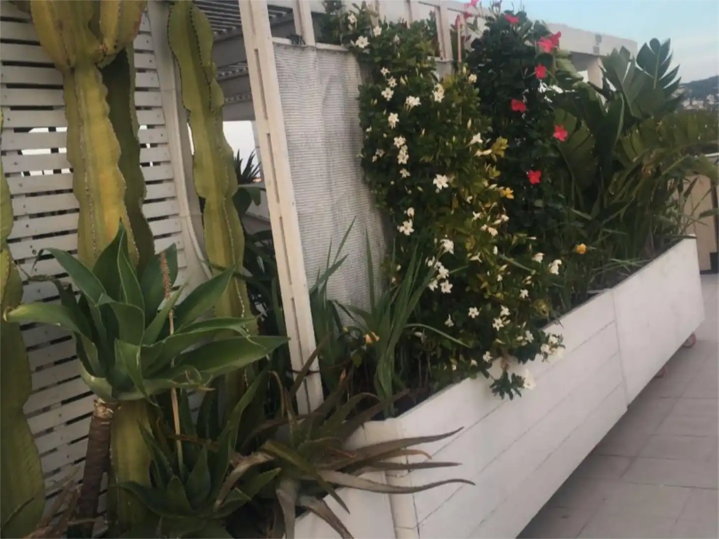 Garden of Attic for sale in Jávea / Xàbia  with Air Conditioner, Heating and Private garden