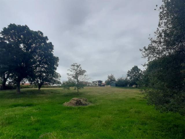 Terreno en Venta en Calle del Llugar de Arriba, 16 en El Berrón - La Carrera