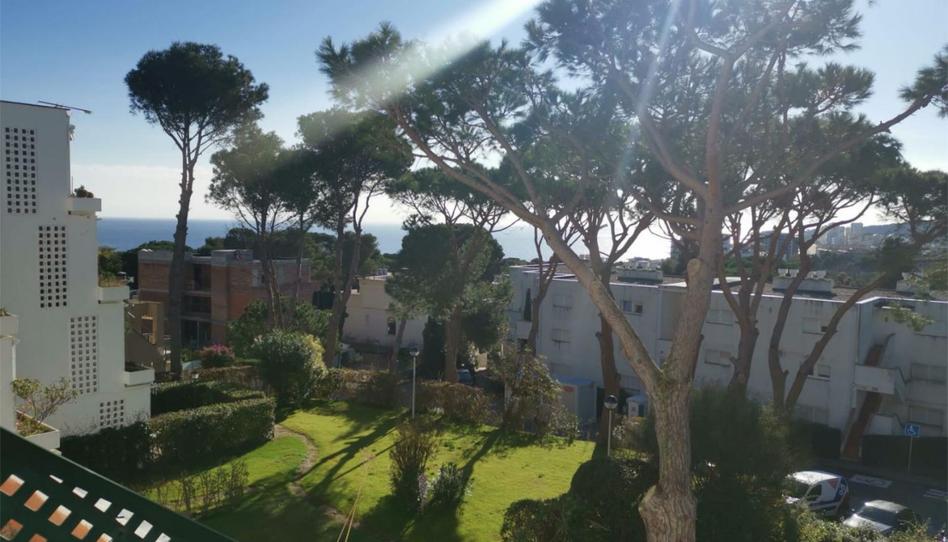 Flat for sale in Carrer Ginjoler, 15, Los Pinos - Politur, Girona - image 1 Photo 1 of Flat for sale in Carrer Ginjoler, 15, Los Pinos - Politur, Girona