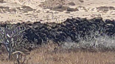 Land for sale in Calle el Cercado, 2a, Mala, Las Palmas - image 5 Photo 5 of Land for sale in Calle el Cercado, 2a, Mala, Las Palmas