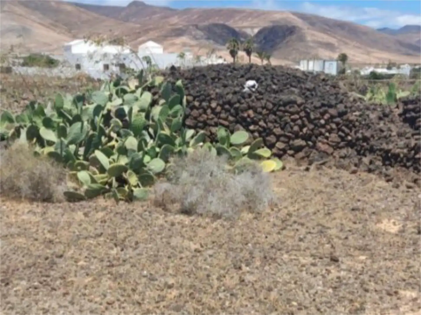 Terreno en venta en Calle el Cercado, Mala Vista exterior de Terreno en venta en Haría