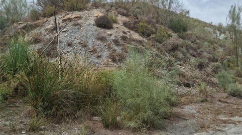 Finca rústica en venda a Diseminado Los Tablones P11, 78, Los Tablones - La Garnatilla, Granada - imatge 2 Foto 2 de Finca rústica en venda a Diseminado Los Tablones P11, 78, Los Tablones - La Garnatilla, Granada