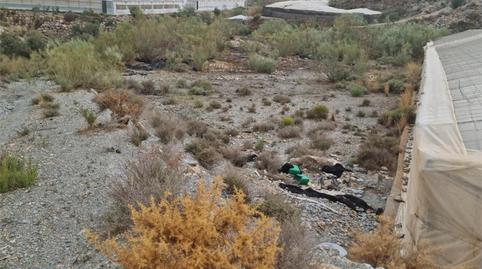 Finca rústica en venda a Diseminado Los Tablones P11, 78, Los Tablones - La Garnatilla, Granada - imatge 4 Foto 4 de Finca rústica en venda a Diseminado Los Tablones P11, 78, Los Tablones - La Garnatilla, Granada