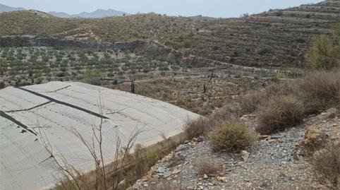 Finca rústica en venda a Diseminado Los Tablones P11, 78, Los Tablones - La Garnatilla, Granada - imatge 3 Foto 3 de Finca rústica en venda a Diseminado Los Tablones P11, 78, Los Tablones - La Garnatilla, Granada