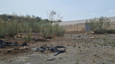 Finca rústica en venda a Diseminado Los Tablones P11, 78, Los Tablones - La Garnatilla, Granada - imatge 5 Foto 5 de Finca rústica en venda a Diseminado Los Tablones P11, 78, Los Tablones - La Garnatilla, Granada