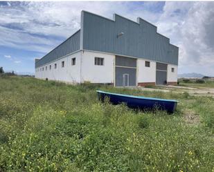 Industrial buildings to rent in Calle Jerez, 16, Albujón