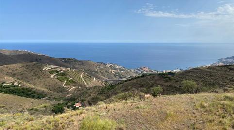 No Urbanitzable en venda a Diseminado Taramay Pol 26, 226b, Torrecuevas - Lomas del Gato, Granada - imatge 2 Foto 2 de No Urbanitzable en venda a Diseminado Taramay Pol 26, 226b, Torrecuevas - Lomas del Gato, Granada