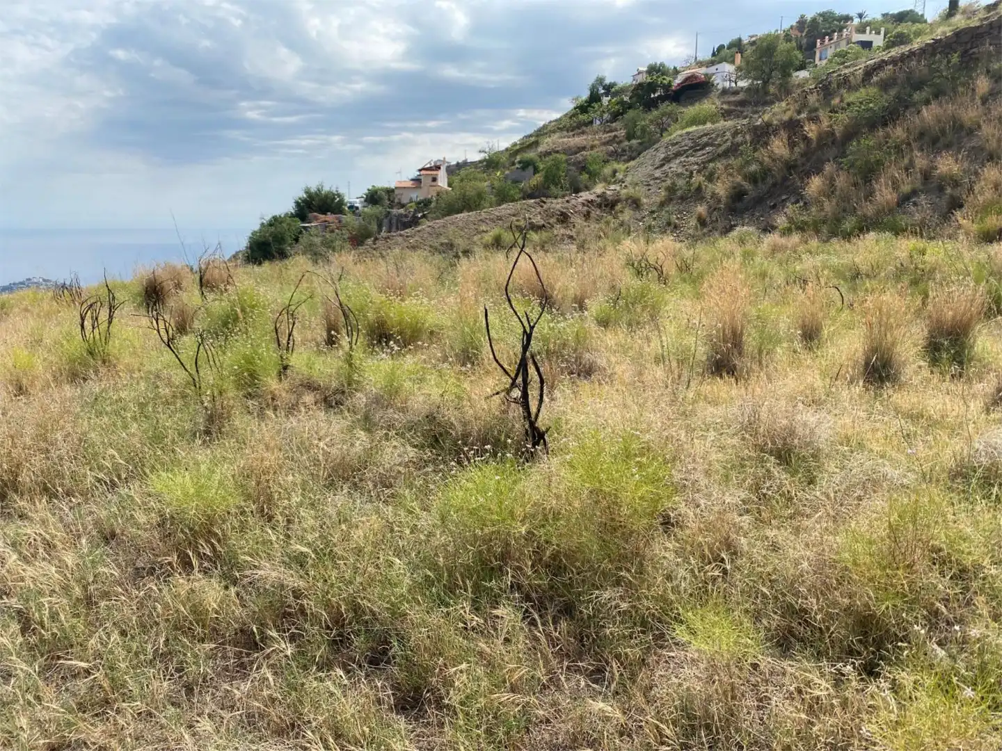 No Urbanitzable en venda a Diseminado Taramay Pol 26, Torrecuevas - Lomas del Gato No Urbanitzable en venda en Almuñécar