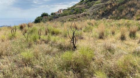 No Urbanitzable en venda a Diseminado Taramay Pol 26, 226b, Torrecuevas - Lomas del Gato, Granada - imatge 4 Foto 4 de No Urbanitzable en venda a Diseminado Taramay Pol 26, 226b, Torrecuevas - Lomas del Gato, Granada