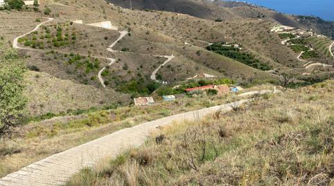 No Urbanitzable en venda a Diseminado Taramay Pol 26, 226b, Torrecuevas - Lomas del Gato, Granada - imatge 5 Foto 5 de No Urbanitzable en venda a Diseminado Taramay Pol 26, 226b, Torrecuevas - Lomas del Gato, Granada