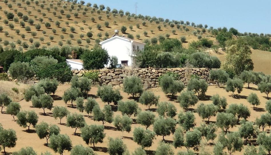 Finca rústica en venda a Diseminado Poligono 8, 9, Valle de Abdalajís, Málaga - imatge 1 Foto 1 de Finca rústica en venda a Diseminado Poligono 8, 9, Valle de Abdalajís, Málaga