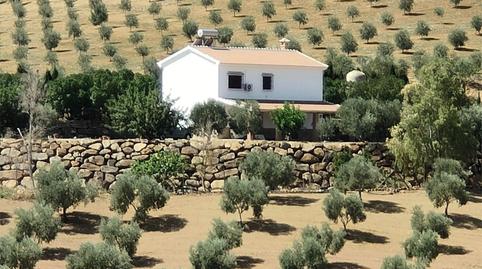 Finca rústica en venda a Diseminado Poligono 8, 9, Valle de Abdalajís, Málaga - imatge 4 Foto 4 de Finca rústica en venda a Diseminado Poligono 8, 9, Valle de Abdalajís, Málaga