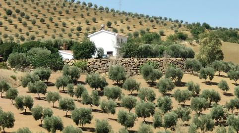 Finca rústica en venda a Diseminado Poligono 8, 9, Valle de Abdalajís, Málaga - imatge 2 Foto 2 de Finca rústica en venda a Diseminado Poligono 8, 9, Valle de Abdalajís, Málaga