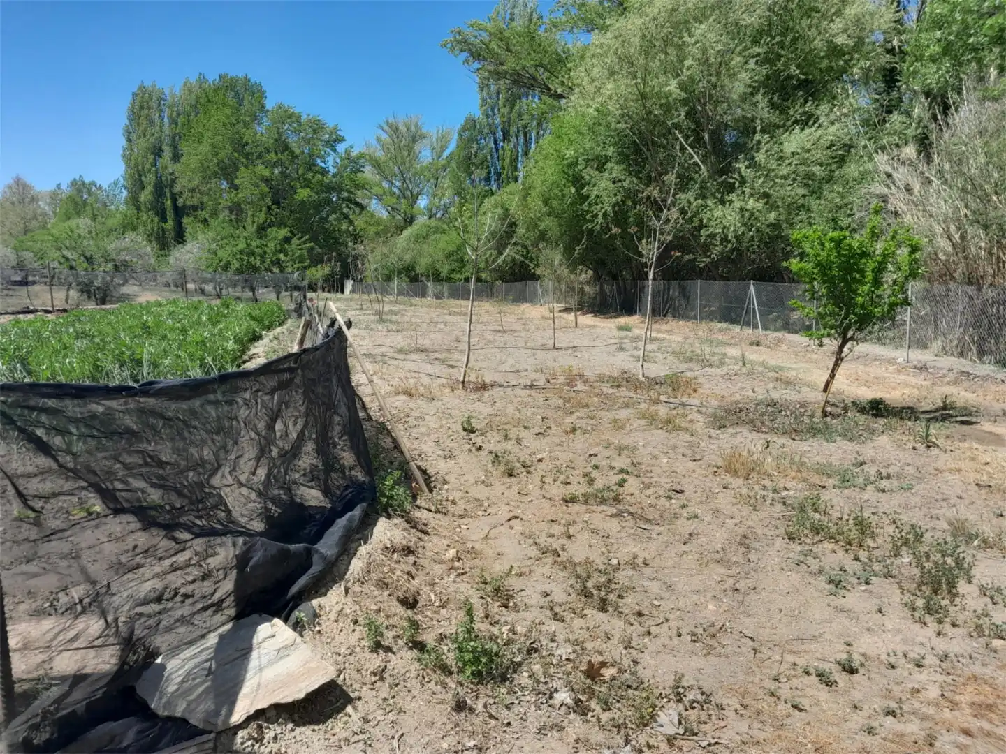 Finca rústica en venta en Fondón
