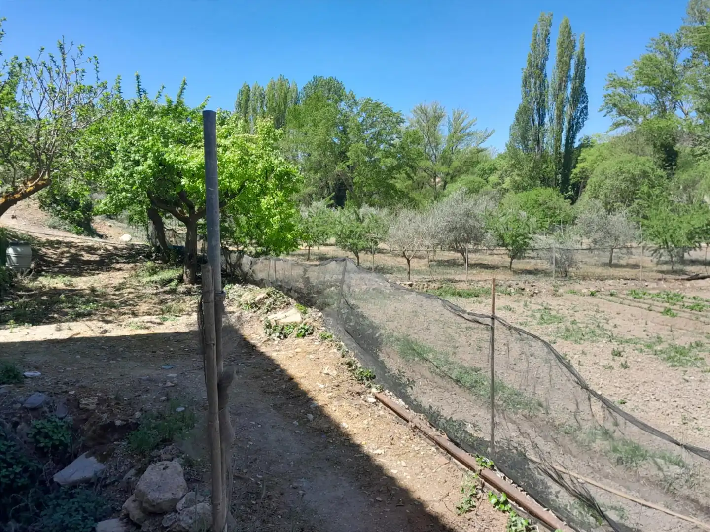 Finca rústica en venta en Fondón