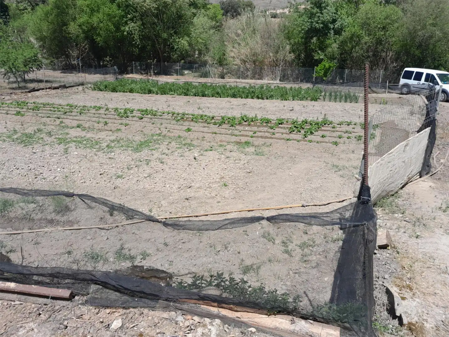 Finca rústica en venta en Fondón