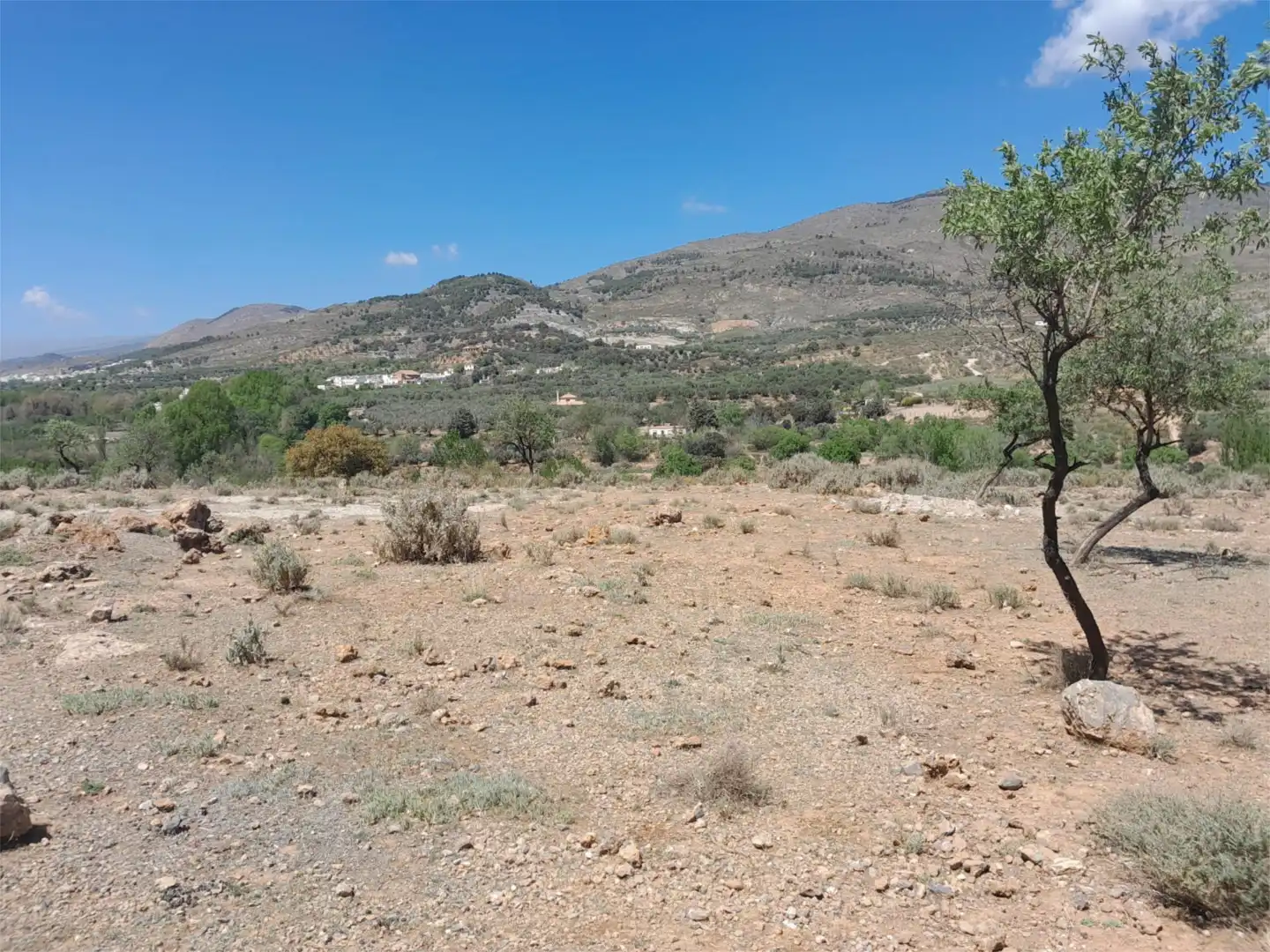 Finca rústica en venta en Fondón