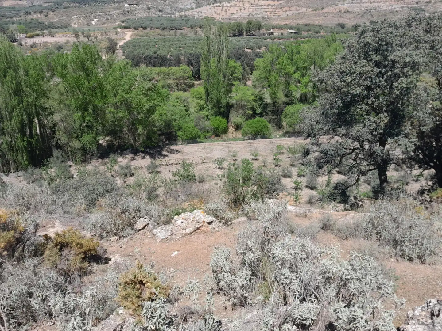 Finca rústica en venta en Fondón