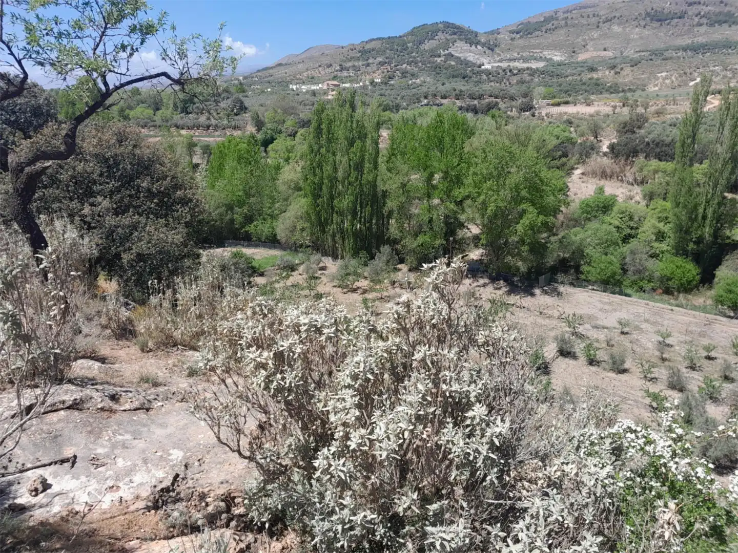 Finca rústica en venta en Fondón