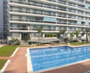 Swimming pool of Flat to rent in Gandia  with Air Conditioner, Terrace and Swimming Pool