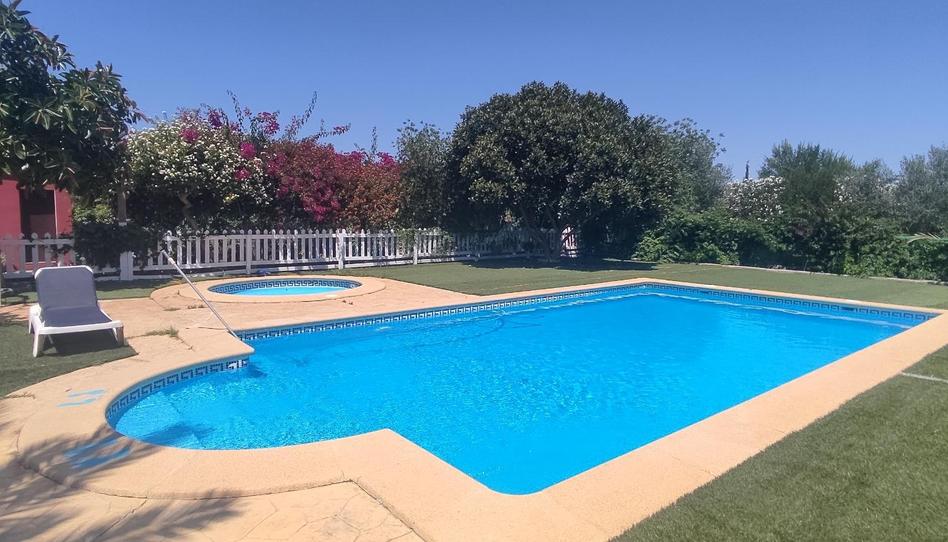 Finca rústica en venda a El Coronil, Sevilla - imatge 1 Foto 1 de Finca rústica en venda a El Coronil, Sevilla