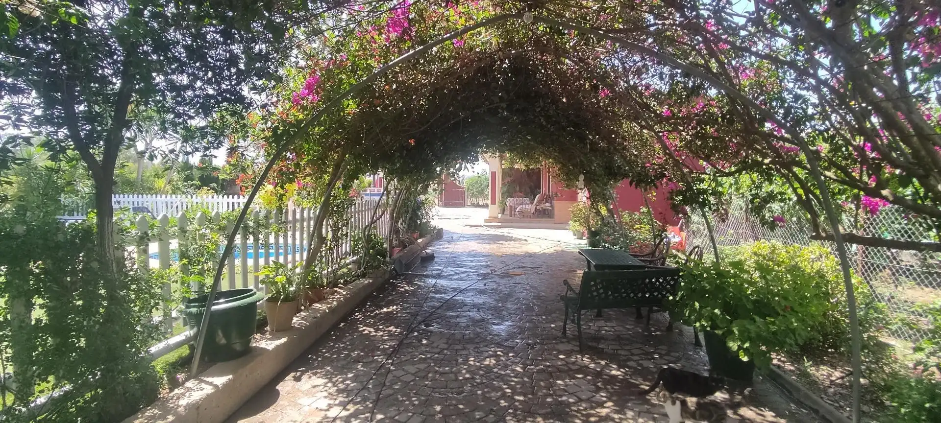 Finca rústica en venda a El Coronil Jardí de Finca rústica en venda en El Coronil amb Aire condicionat, Terrassa i Piscina