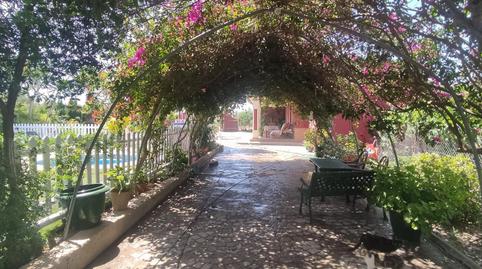 Finca rústica en venda a El Coronil, Sevilla - imatge 5 Foto 5 de Finca rústica en venda a El Coronil, Sevilla