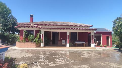 Finca rústica en venda a El Coronil, Sevilla - imatge 4 Foto 4 de Finca rústica en venda a El Coronil, Sevilla