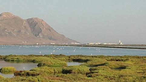 Duplex to rent in Calle el Rodaballo, 24, Cabo de Gata, Almería - image 4 Photo 4 of Duplex to rent in Calle el Rodaballo, 24, Cabo de Gata, Almería
