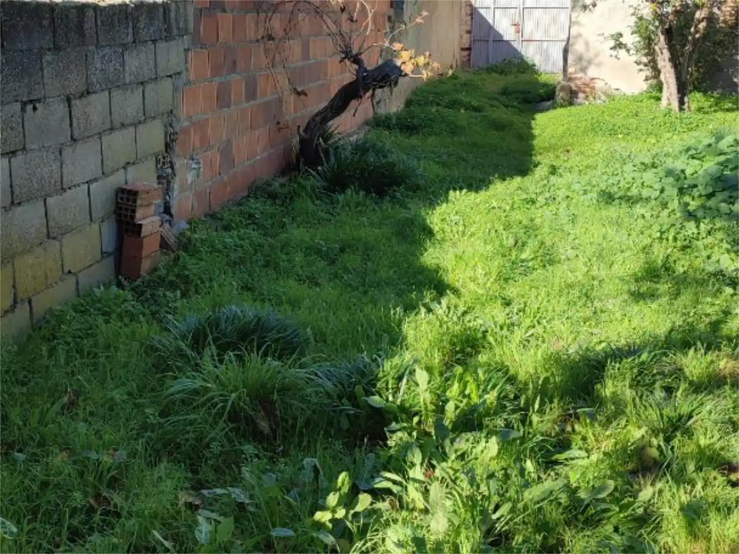 Garten von Bebaubares Gelände zum Verkauf in Calzada de Oropesa