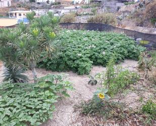 Garden of Constructible Land for sale in Güímar