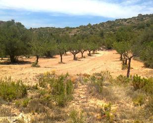 Terreny en venda en Llíria