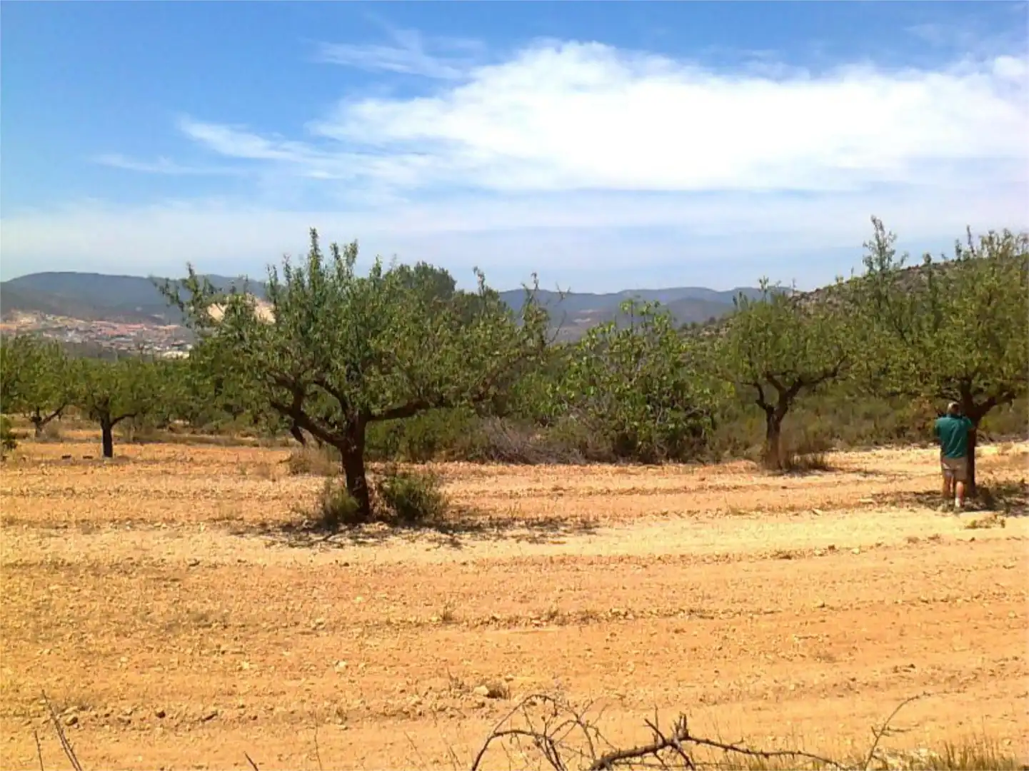 Ground floor for sale in CV-345, 531, Villar del Arzobispo Ground floor for sale in Villar del Arzobispo
