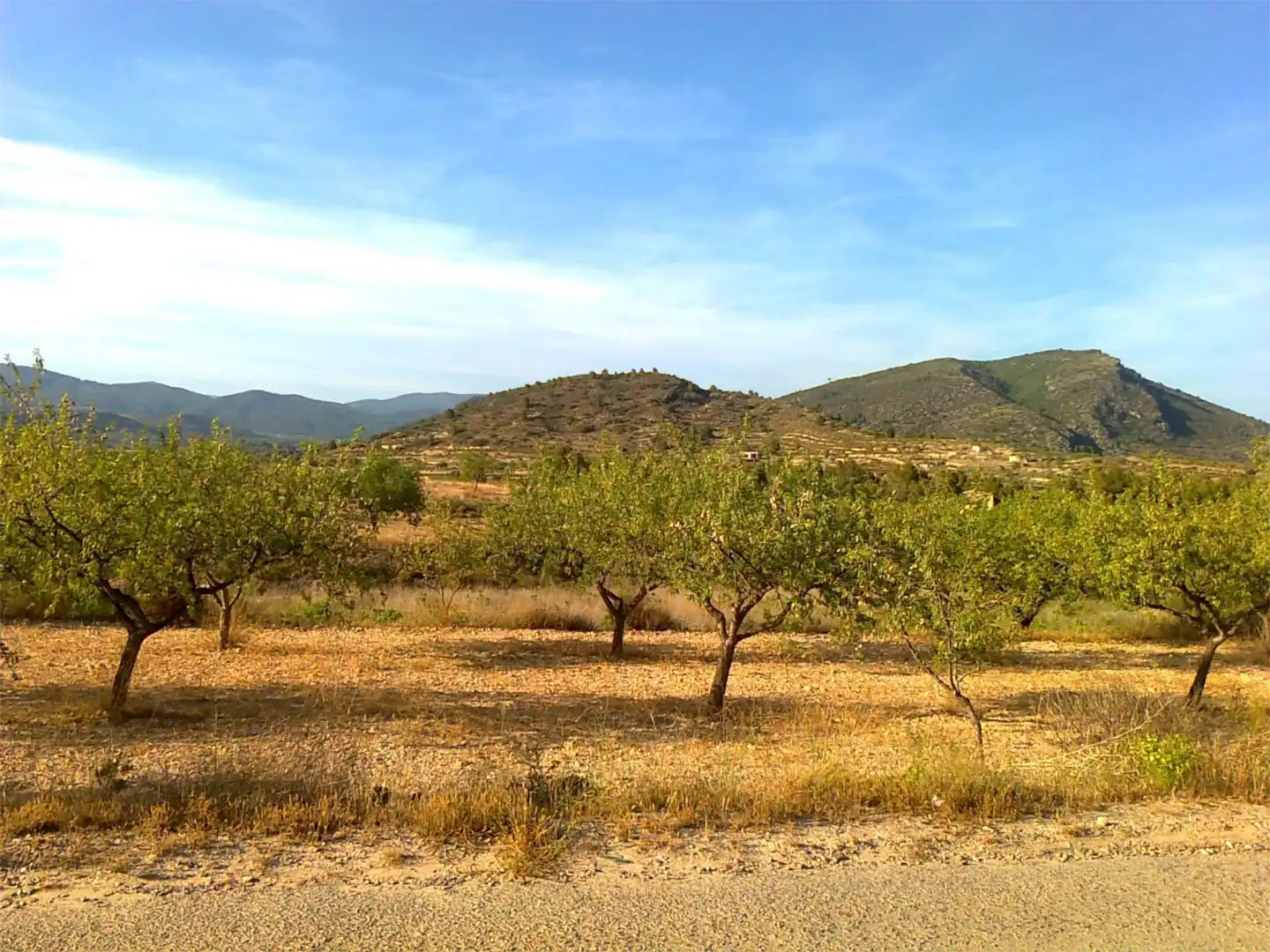 Ground floor for sale in CV-345, 531, Villar del Arzobispo Ground floor for sale in Villar del Arzobispo