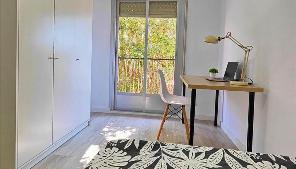 Pis per a compartir a Carrer Vistabella, 12, Santa Rosa, Alicante - imatge 1 Foto 1 de Pis per a compartir a Carrer Vistabella, 12, Santa Rosa, Alicante