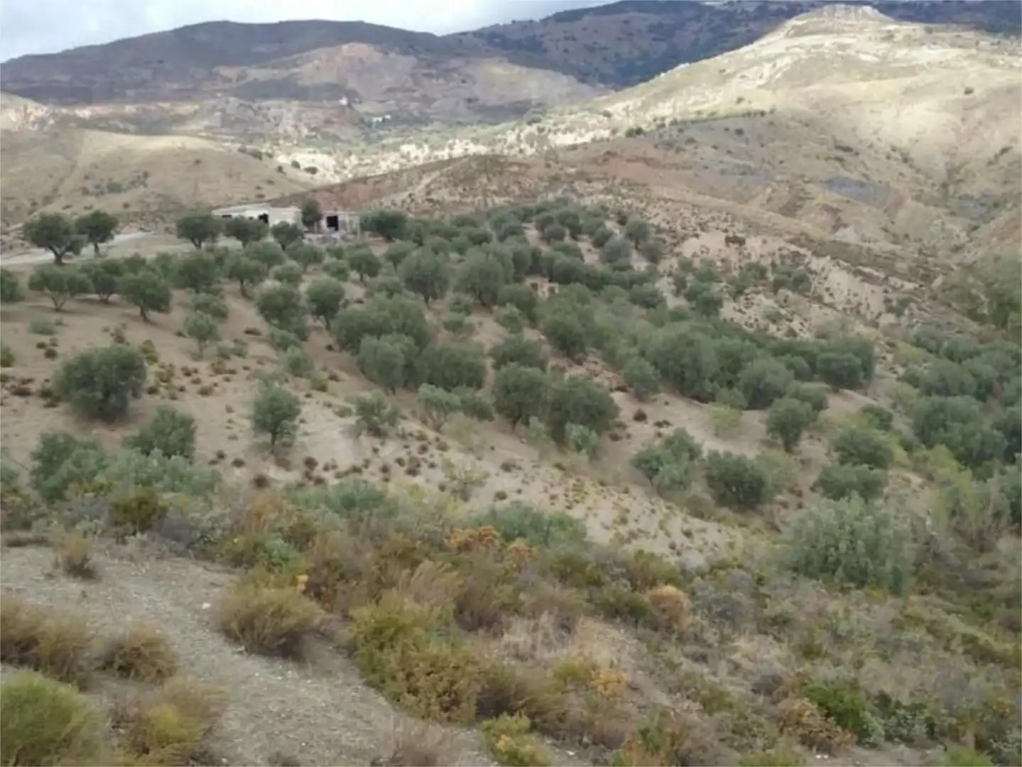 Land for sale in Cádiar Land for sale in Cádiar