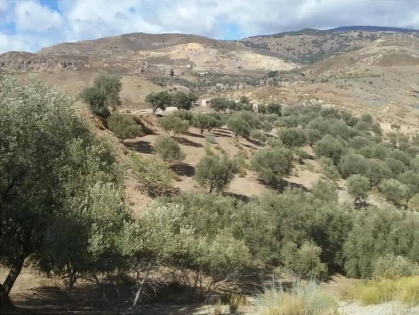 Land for sale in Cádiar Land for sale in Cádiar