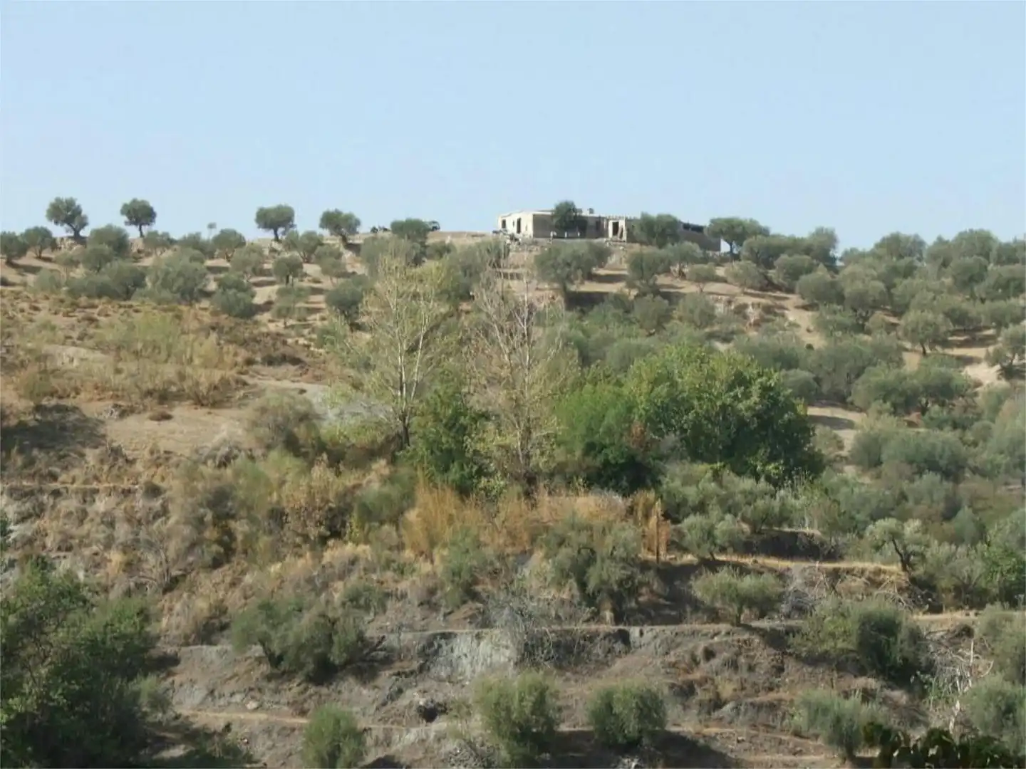 Land for sale in Cádiar Land for sale in Cádiar