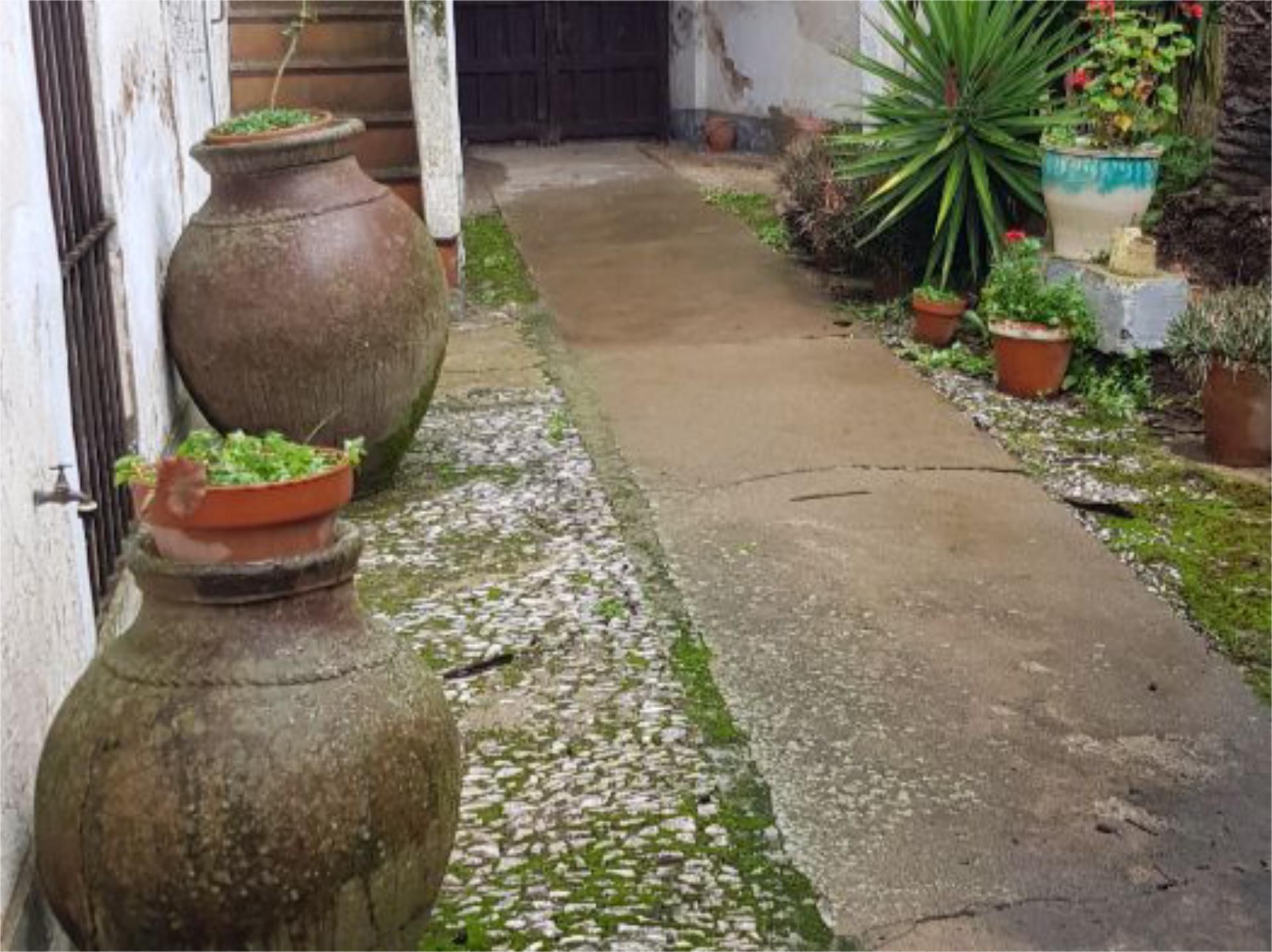 Jardí de Finca rústica en venda en Atalaya amb Jardí privat, Moblat i Balcó