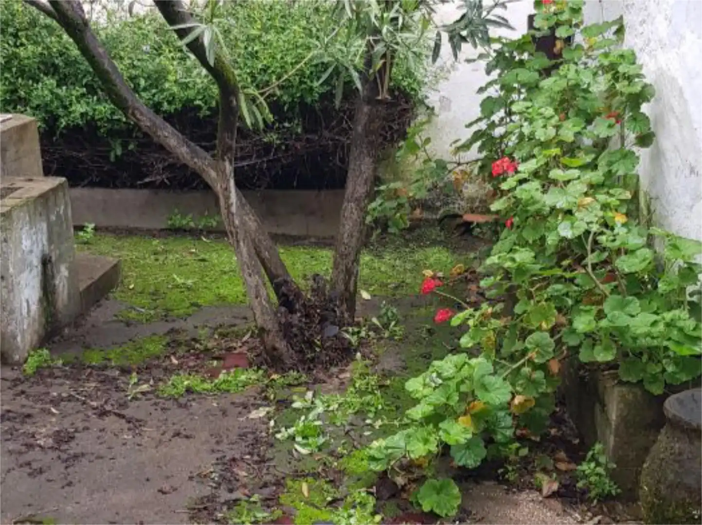 Piso en venta en Calle Extremadura, 1, Atalaya Jardín de Piso en venta en Atalaya con Jardín privado, Amueblado y Balcón