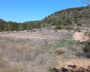 Land for sale in Corbera d'Ebre