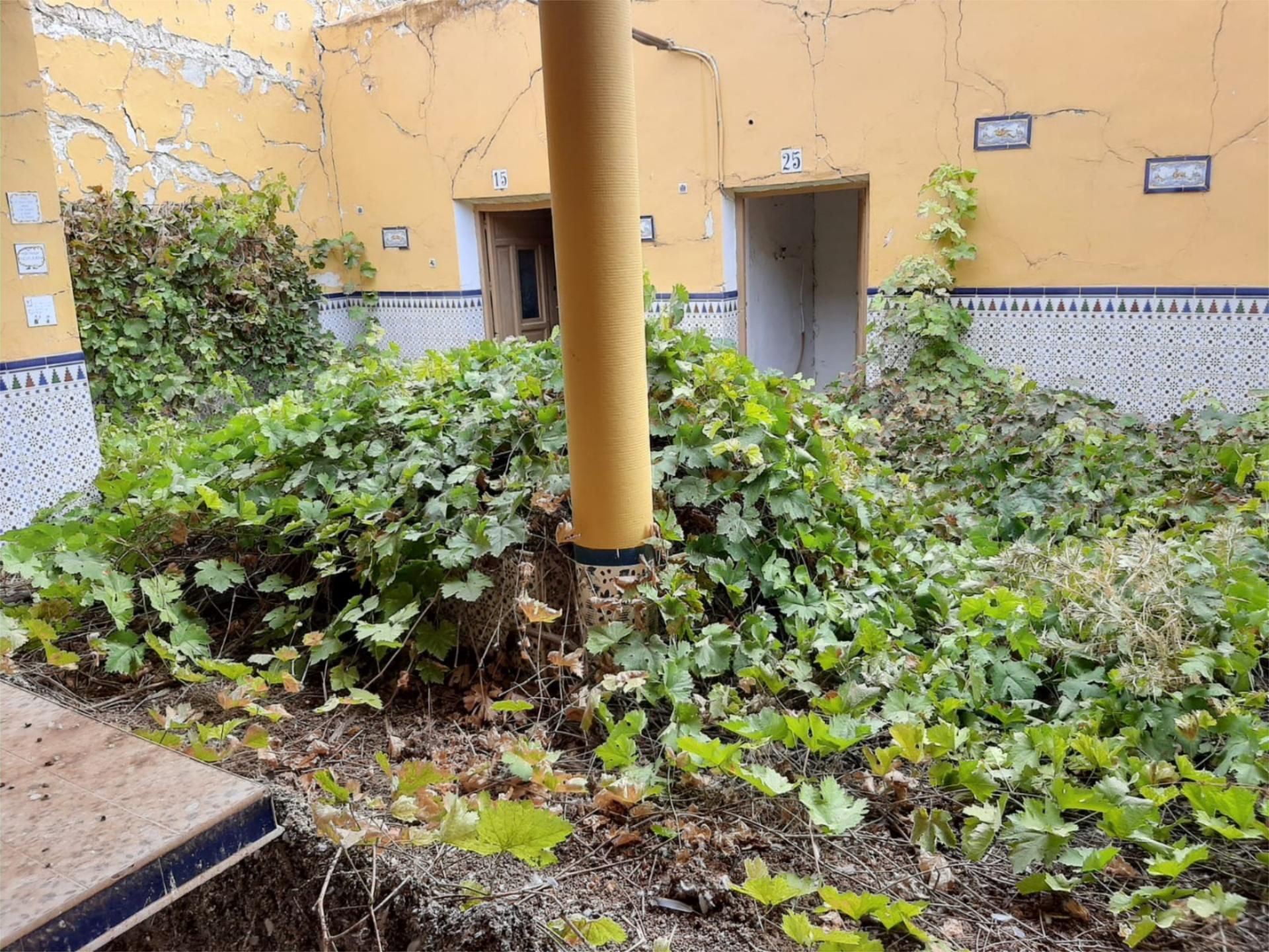 Garden of Country house for sale in Orce  with Private garden