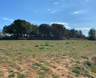 Non-constructible Land for sale in Verges