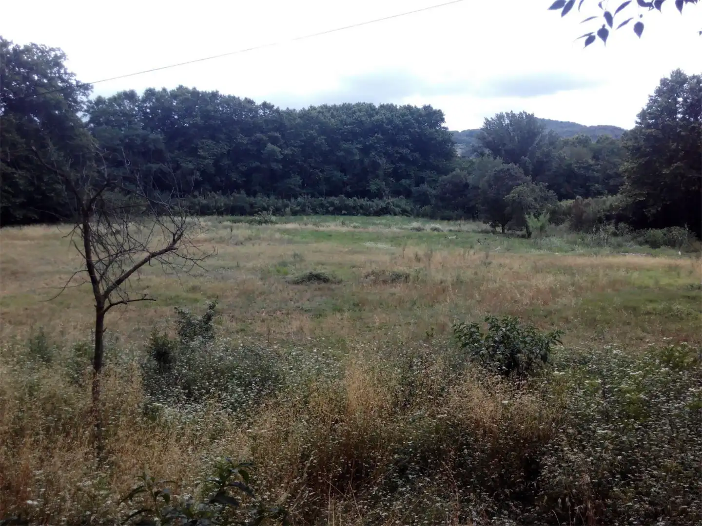 Country homes for sale in Santa Maria de Palautordera Country homes for sale in Santa Maria de Palautordera