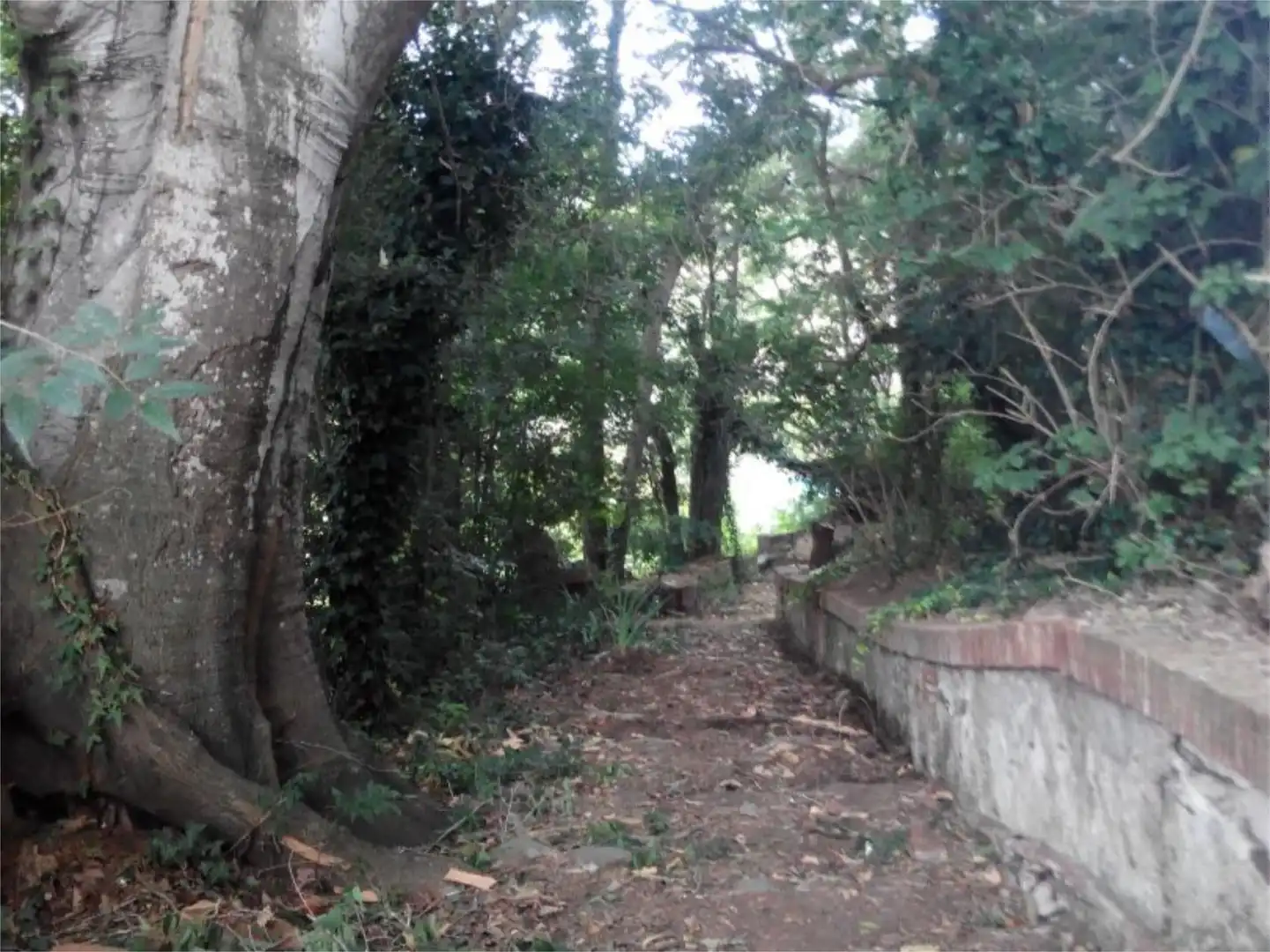 Country homes for sale in Santa Maria de Palautordera Country homes for sale in Santa Maria de Palautordera