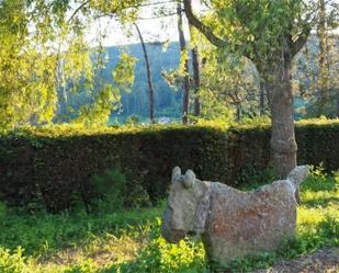 Jardí de Pis de lloguer en Santiago de Compostela  amb Terrassa, Piscina i Balcó