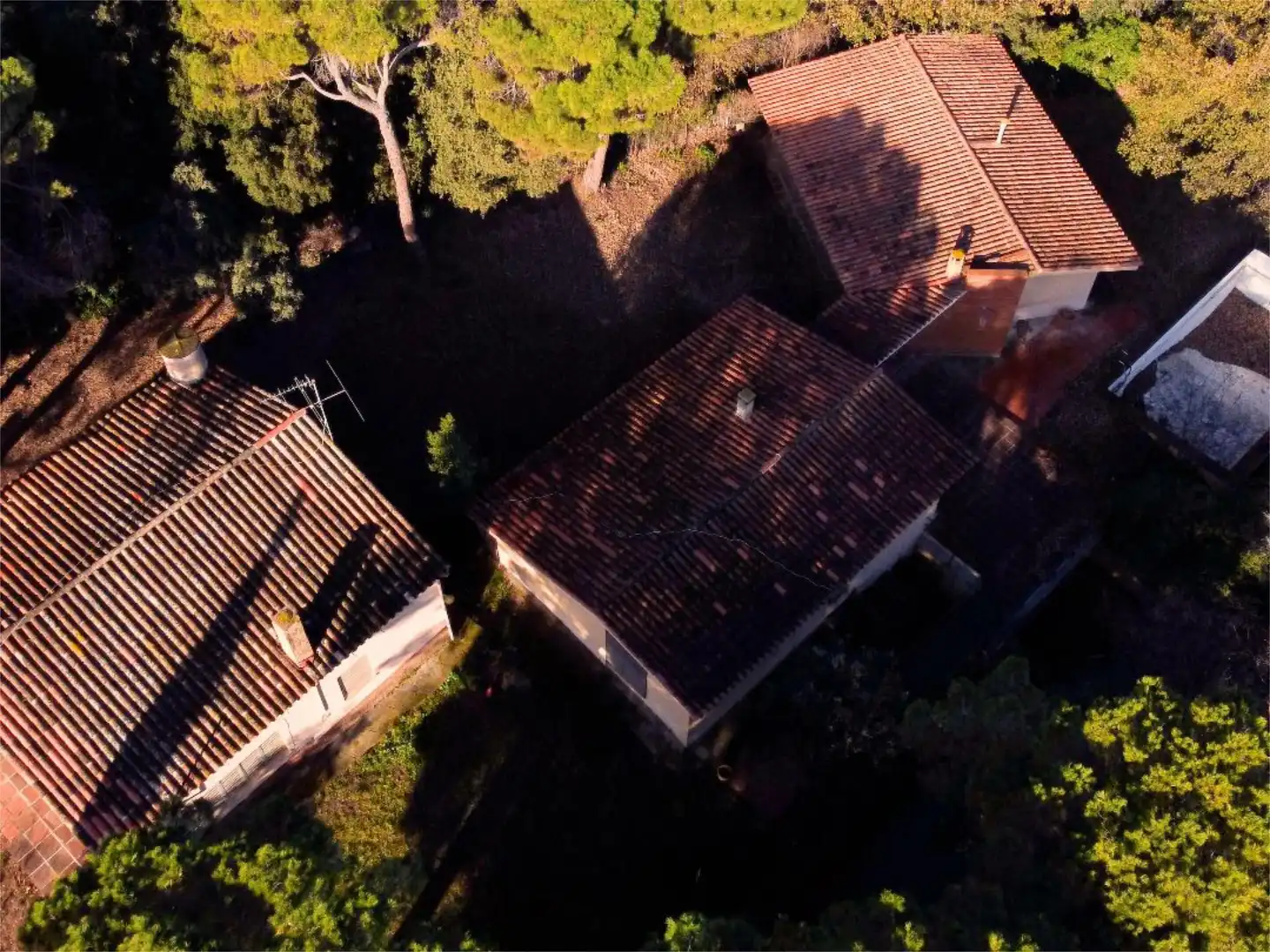 Finca rústica en venda a Carrer Pompeu Fabra, S/n, Palau-solità i Plegamans Vista exterior de Finca rústica en venda en Palau-solità i Plegamans amb Piscina