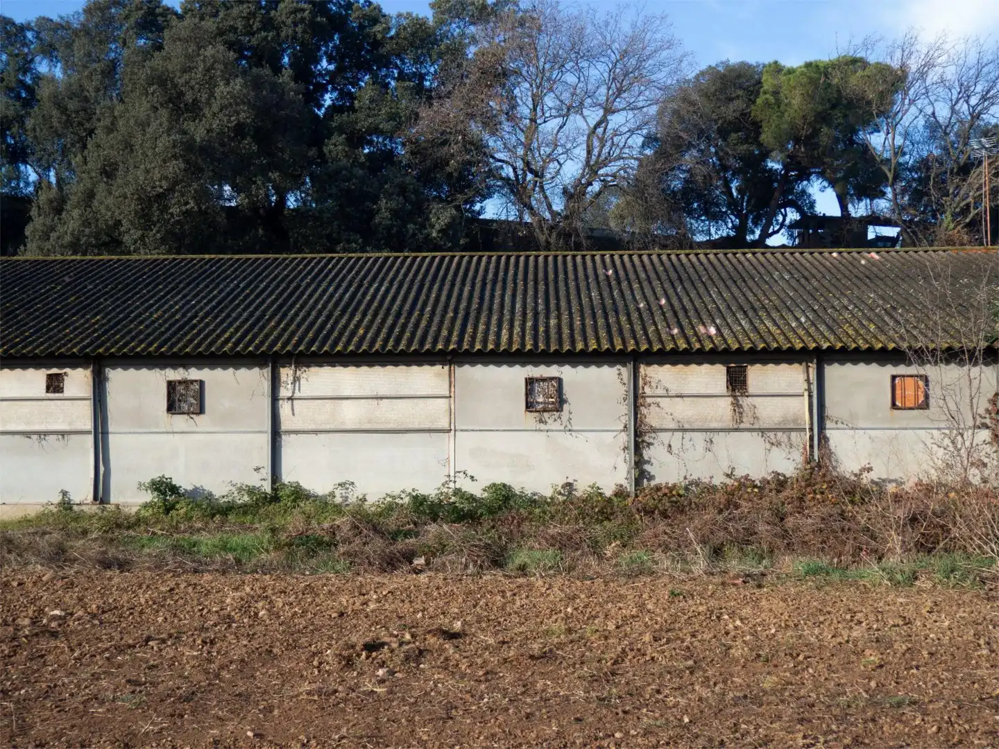 Finca rústica en venda a Carrer Pompeu Fabra, S/n, Palau-solità i Plegamans Vista exterior de Finca rústica en venda en Palau-solità i Plegamans amb Piscina